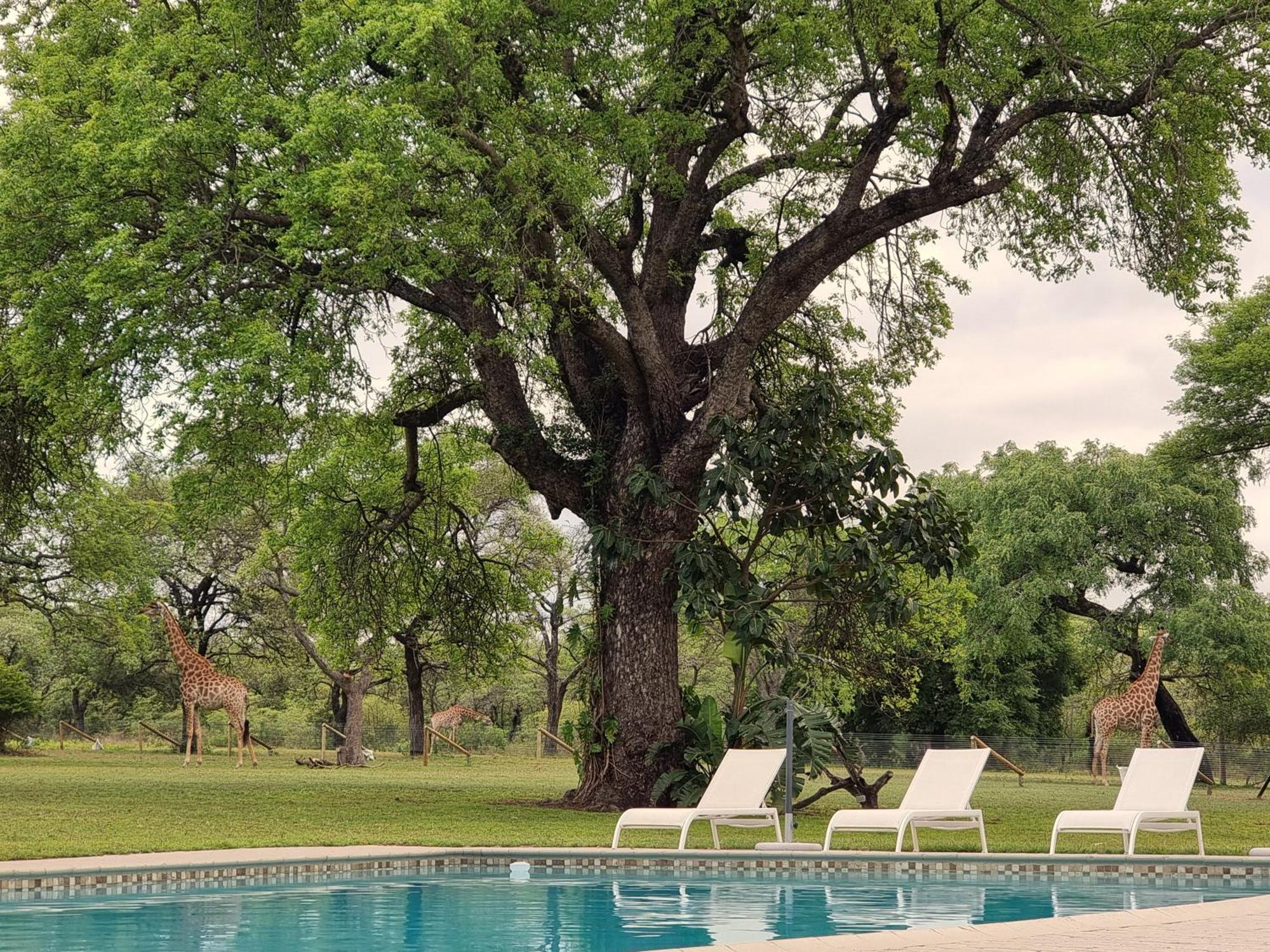 Unyati Safari Lodge Hectorspruit Dış mekan fotoğraf