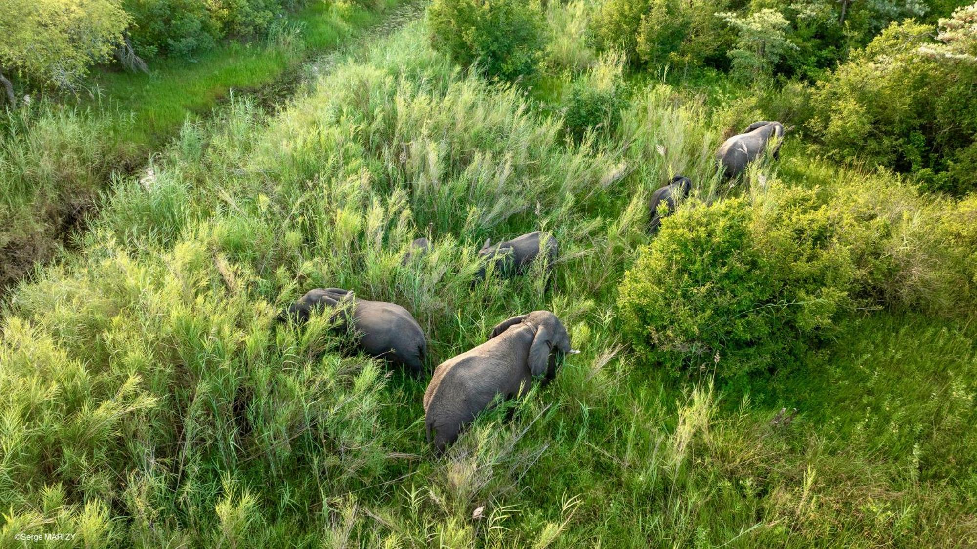 Unyati Safari Lodge Hectorspruit Dış mekan fotoğraf